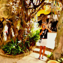 фото из отзыва ID 1418436