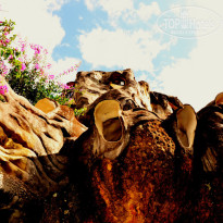 фото из отзыва ID 1418436