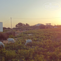 фото из отзыва ID 1418484