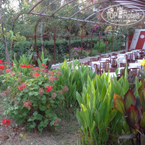 фото из отзыва ID 1418484