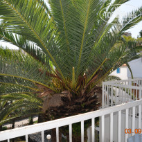 фото из отзыва ID 1418491