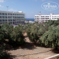 фото из отзыва ID 1418316