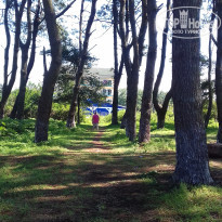 фото из отзыва ID 1418637