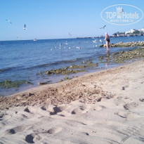 фото из отзыва ID 1418711