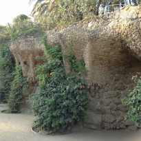 фото из отзыва ID 1418775