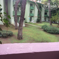 фото из отзыва ID 1418782