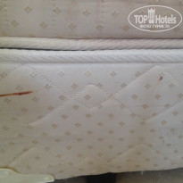 фото из отзыва ID 1418850