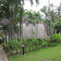 фото из отзыва ID 1418905