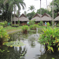 фото из отзыва ID 1418905