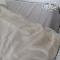 фото из отзыва ID 1419013