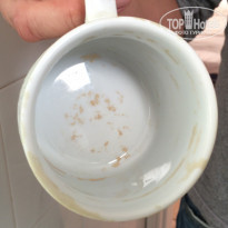 фото из отзыва ID 1419013