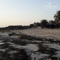 фото из отзыва ID 1419053