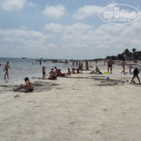 фото из отзыва ID 1419053