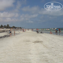 фото из отзыва ID 1419053