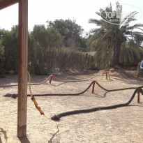 фото из отзыва ID 1419053