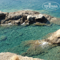 фото из отзыва ID 1419145