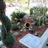 фото из отзыва ID 1419145