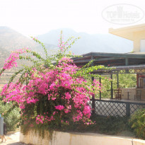 фото из отзыва ID 1419145