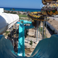 фото из отзыва ID 1419147