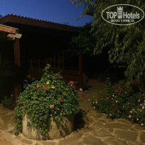 фото из отзыва ID 1419251