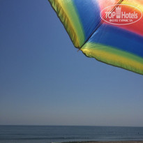 фото из отзыва ID 1419251