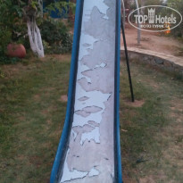 фото из отзыва ID 1419343