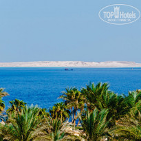 фото из отзыва ID 1419348