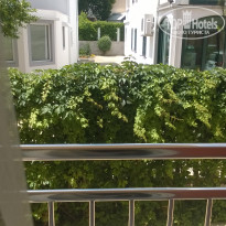 фото из отзыва ID 1419419