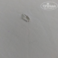 фото из отзыва ID 1419503