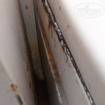 фото из отзыва ID 1419503