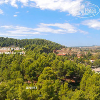 фото из отзыва ID 1419554