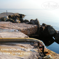 фото из отзыва ID 1419554