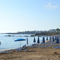 фото из отзыва ID 1419575