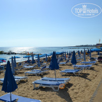 фото из отзыва ID 1419575