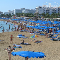 фото из отзыва ID 1419575