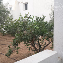 фото из отзыва ID 1419610