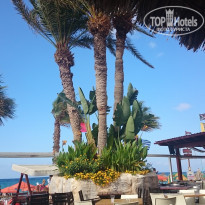 фото из отзыва ID 1419686