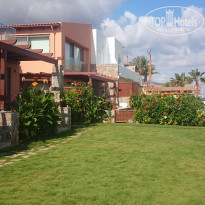 фото из отзыва ID 1419686