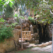 фото из отзыва ID 1419686