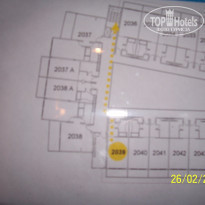 фото из отзыва ID 1419695