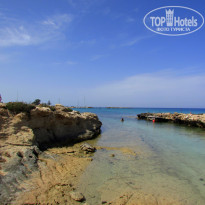 фото из отзыва ID 1419738