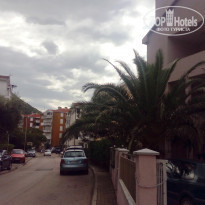 фото из отзыва ID 1419819