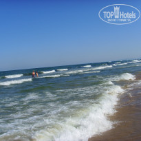 фото из отзыва ID 1419845