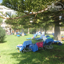 фото из отзыва ID 1419871