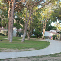 фото из отзыва ID 1419921