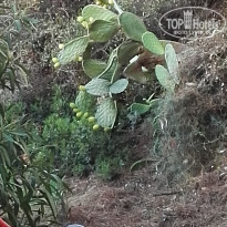 фото из отзыва ID 1419921