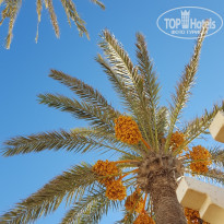 фото из отзыва ID 1413000