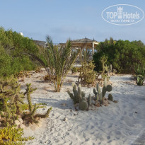 фото из отзыва ID 1413000