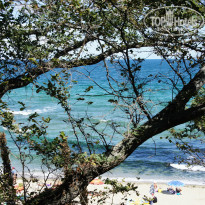 фото из отзыва ID 1415703