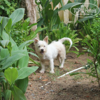 фото из отзыва ID 1420014